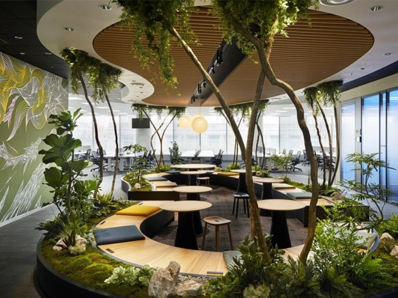 Phong cách Biophilic Design (thiết kế xanh)