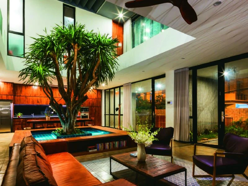 Thiết kế trần nhà